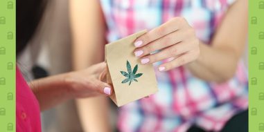 Cannabis Packaging Regulations in Canada vs. the United States